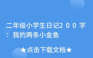 鱼缸清洁技巧鱼缸清洁技巧鱼缸清洁技巧鱼缸清洁技巧：我的鱼缸日记：我的鱼缸日记—— 鱼缸百科 第3张