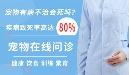 预防龙鱼掉眼不仅需要合理的饮食结构，还需要注意一些饮食习惯：如何预防龙鱼掉眼 龙鱼百科 第3张