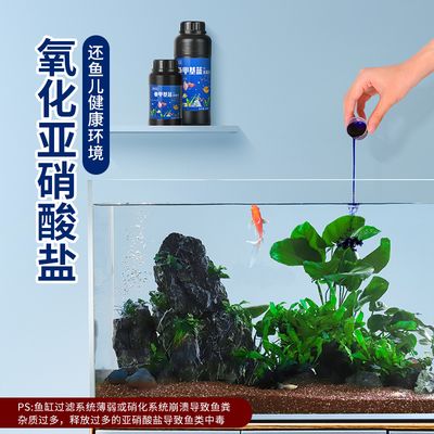 鱼缸得过水霉病的鱼缸消毒方法和注意事项和注意事项：得过水霉病的鱼缸消毒方法和注意事项和注意事项和注意事项