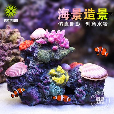 如何打造梦幻的海景鱼缸：如何打造梦幻海景鱼缸 鱼缸百科 第1张