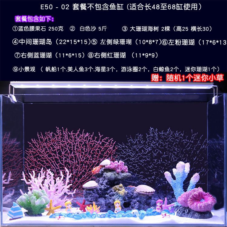 如何打造梦幻的海景鱼缸：如何打造梦幻海景鱼缸