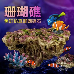 如何打造梦幻的海景鱼缸：如何打造梦幻海景鱼缸 鱼缸百科 第4张