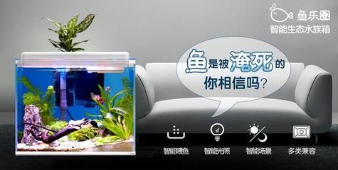 浮法玻璃和亚克力鱼缸哪个更好取决于您的需求和预算：浮法玻璃与亚克力哪个更好