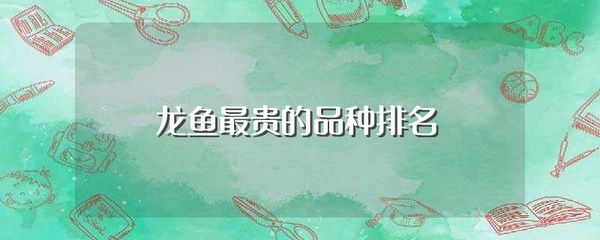 十大顶级龙鱼排名：世界十大最贵龙鱼品种排名2024年8月9日 龙鱼百科 第2张