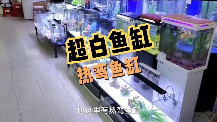 非凡鱼缸哪里生产的好（生态鱼缸的养护秘籍） 鱼缸百科 第1张