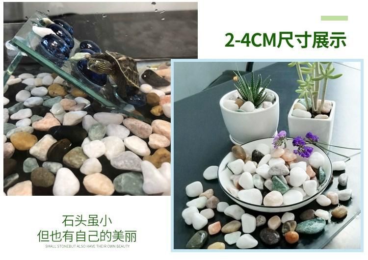 花盆能放鱼缸里吗（如何将花盆放入鱼缸中） 鱼缸百科 第2张