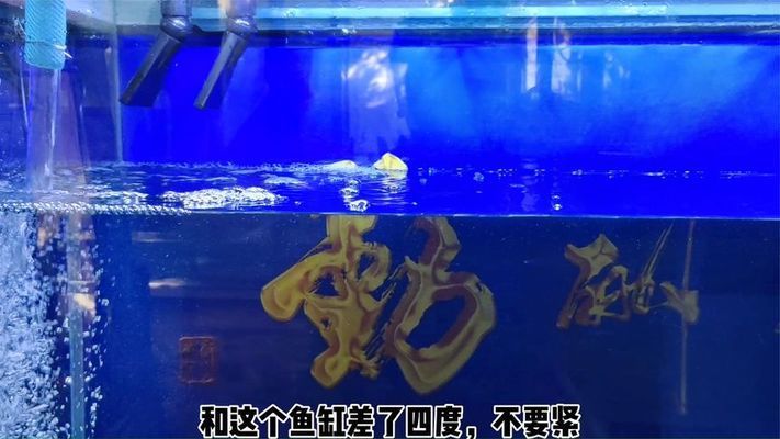 底滤鱼缸水泵坏了怎么换（底滤鱼缸水泵如何更换） 鱼缸百科 第3张