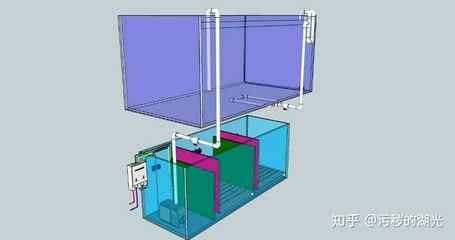 底滤鱼缸虹吸的工作原理是什么呢（底滤鱼缸的工作原理） 鱼缸百科 第2张