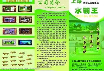 国内鱼缸品牌2021年最新排行榜（2021年国内鱼缸品牌排行榜：于水族产品、宠物鱼缸品牌排名） 鱼缸百科 第3张