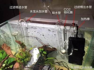 过滤鱼缸多久换水一次好（过滤鱼缸的换水频率） 鱼缸百科 第1张