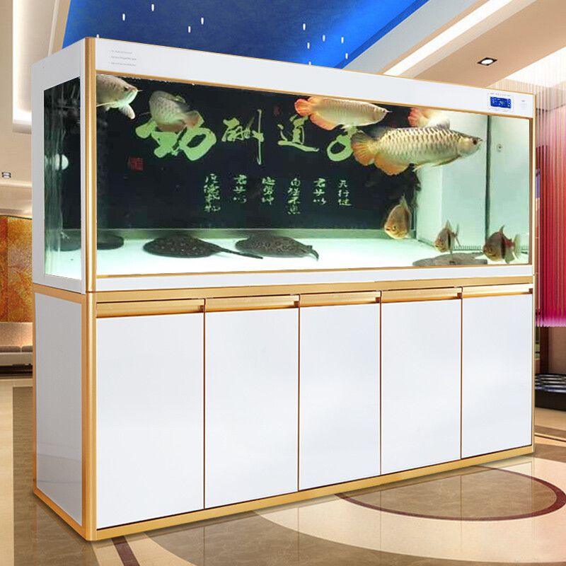 广州越美水族鱼缸专卖店（广州市越美水族鱼缸专卖店的鱼缸） 鱼缸百科 第2张