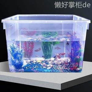 观海水族鱼缸养什么鱼好养（海水鱼的养护技巧） 鱼缸百科 第1张