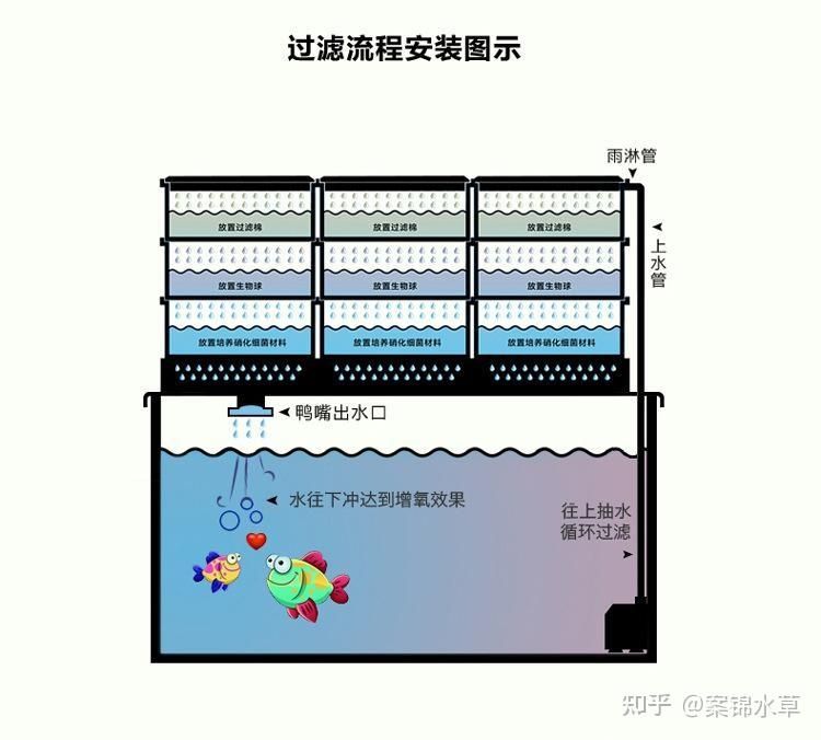 顶滤鱼缸怎么放滤材（顶滤鱼缸放置滤材的一些建议） 鱼缸百科 第3张