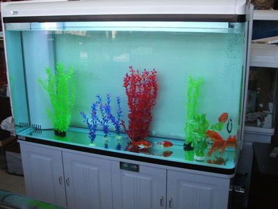 广州市越美水族鱼缸专卖店 鱼缸百科 第4张