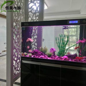 广州市越美水族鱼缸专卖店