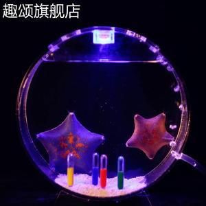 海星活体海水鱼缸（养护海星活体海水鱼缸需要注意什么？） 鱼缸百科 第2张