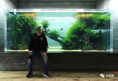 给鱼缸造景叫什么职业（探索水族造景的世界大赛水族造景师或生态造景师或生态造景师）