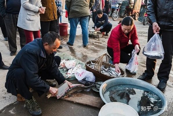 海城有卖鱼缸的吗多少钱一条鱼（海城鱼缸市场的价格范围） 鱼缸百科 第1张