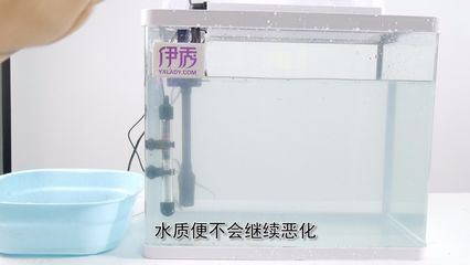 过滤桶鱼缸粪便收集器怎么用（家庭diy鱼缸过滤系统） 鱼缸百科 第3张