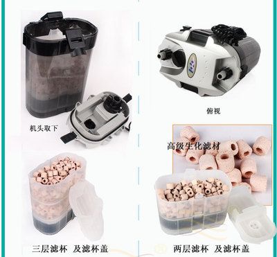 高级鱼缸过滤器（选择高级鱼缸过滤器需要注意哪些问题？）