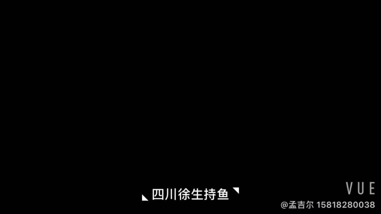 孟吉尔之特殊万吉（孟吉尔一手官方授权货源找对了人让买到物有所值价位） 观赏鱼论坛