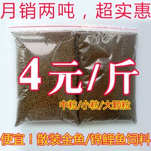 观赏鱼能吃玉米吗（家庭养鱼的注意事项） 其他宠物 第3张