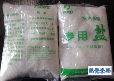 观赏鱼加盐是食用盐吗（观赏鱼为什么要加盐） 埃及神仙鱼 第1张