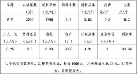 观赏鱼行业怎么样（观赏鱼养殖技术的创新是推动行业发展的关键因素）