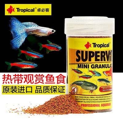 高档观赏鱼专用SUPER（全球观赏鱼种类大盘点） 水族周边 第3张