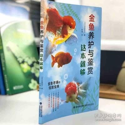 观赏鱼入门（观赏鱼养护技巧） 南美异形观赏鱼 第3张