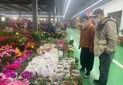 固安城东花卉市场观赏鱼出售（固安城东花卉市场是一个集花卉、观赏鱼、观赏鱼的养护秘籍）