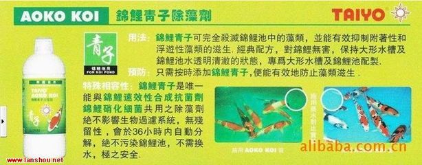 除藻剂的使用方法（除藻剂使用方法和注意事项） 其他益生菌 第2张