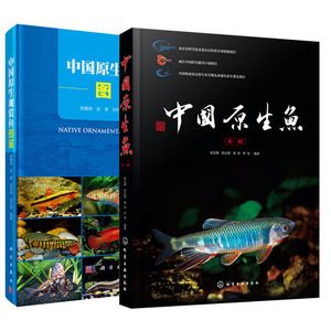 观赏鱼种类图鉴（原生观赏鱼的繁殖与遗传学） 定时器/自控系统 第4张