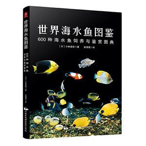 海鱼观赏鱼怎么样养（海水观赏鱼的饲养技术）