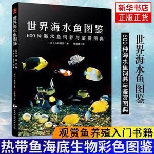 海鱼观赏鱼怎么样养（海水观赏鱼的饲养技术） 锦鲤鱼 第2张