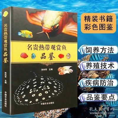 海鱼观赏鱼怎么样养（海水观赏鱼的饲养技术）