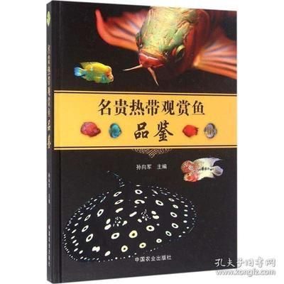 观赏鱼罗汉的简介怎么写（罗汉鱼的养殖技巧） 红老虎鱼 第3张