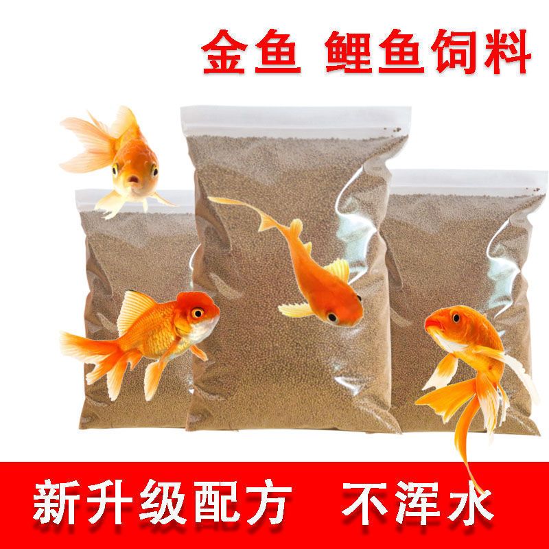 观赏鱼专用鱼饵哪种好一点（如何选择观赏鱼专用饵料？）