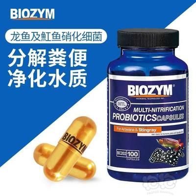 百因美硝化细菌胶囊（百因美硝化细菌胶囊使用方法详细解释百因美硝化细菌胶囊使用方法） 黄金猫鱼 第2张