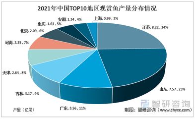 观赏鱼店的市场变化趋势（全球观赏鱼市场规模在2022年达到97.96亿美元） 福满钻鱼 第1张