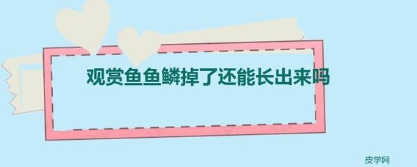 观赏鱼的鱼鳞掉了多久会长出来（观赏鱼掉鳞后的养护秘籍想要了解观赏鱼的养护技巧）