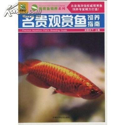 观赏鱼水族馆怎么样养鱼（关于水族馆养鱼的一些关键信息） 粗线银版鱼 第3张