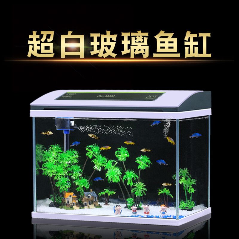 定时水族养护（定时水族养护指南） 观赏鱼 第4张