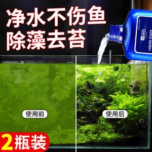 大型观赏鱼池怎样除青苔（大型观赏鱼池除青苔方法） 祥龙传奇品牌鱼缸 第3张