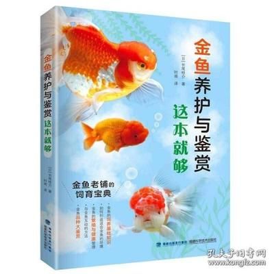 都有什么观赏鱼品种好养（观赏鱼的养护技巧） 鱼缸清洁用具 第1张