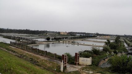 海南观赏鱼养殖基地有哪些公司（海南观赏鱼养殖基地）