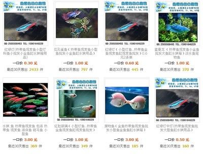 海南水族馆观赏鱼批发价格多少（全球观赏鱼市场趋势全球观赏鱼市场趋势不断变化和发展） 野彩鱼 第3张