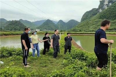 观赏鱼租赁合同范（观赏鱼租赁合同法律基础） 红龙鱼鱼粮饲料 第1张