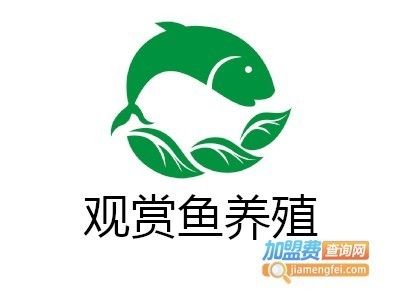 观赏鱼加盟店商机怎么样（开设观赏鱼加盟店的商机：从以下几个方面来分析观赏鱼加盟店） 银龙鱼苗 第1张