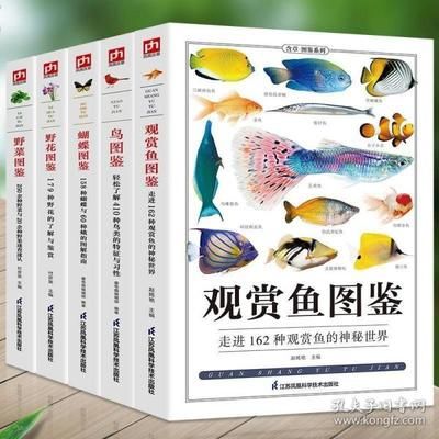 观赏鱼大百科（《观赏鱼大百科》系列书籍） 观赏鱼饲料 第2张